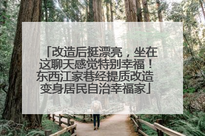 改造后挺漂亮，坐在这聊天感觉特别幸福！东西江家巷经提质改造变身居民自治幸福家