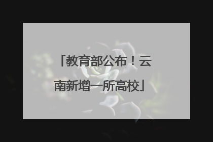 教育部公布！云南新增一所高校