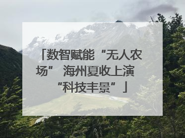 数智赋能“无人农场” 海州夏收上演“科技丰景”