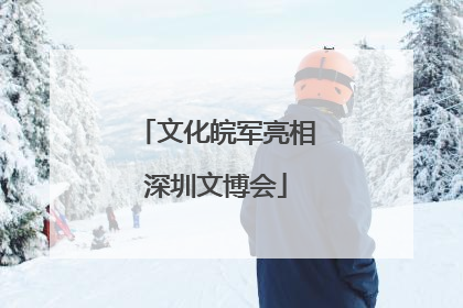 文化皖军亮相深圳文博会