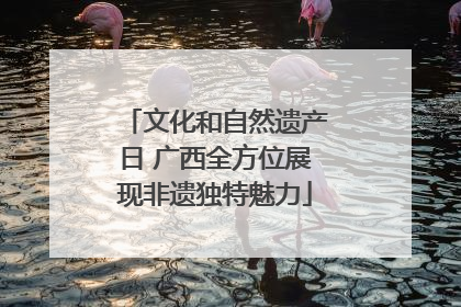 文化和自然遗产日 广西全方位展现非遗独特魅力
