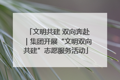 文明共建 双向奔赴｜集团开展“文明双向共建”志愿服务活动