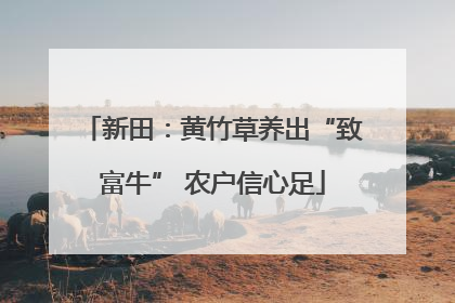 新田：黄竹草养出“致富牛” 农户信心足