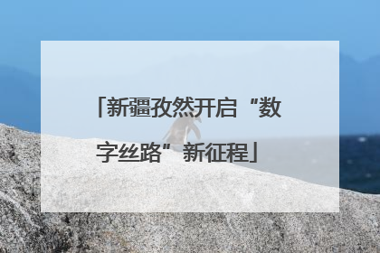 新疆孜然开启“数字丝路”新征程