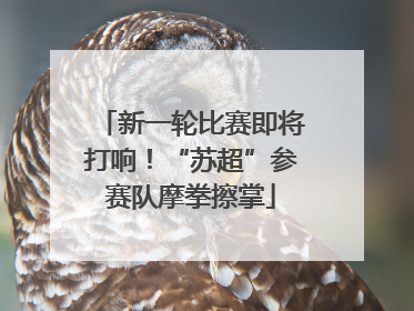 新一轮比赛即将打响！“苏超”参赛队摩拳擦掌