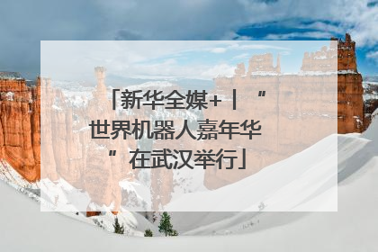 新华全媒+丨“世界机器人嘉年华”在武汉举行