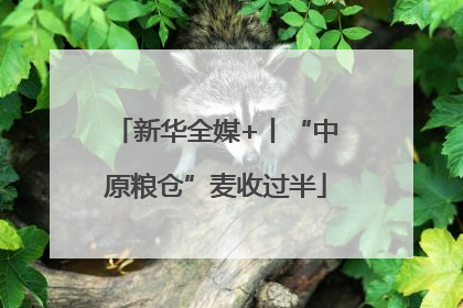 新华全媒+丨“中原粮仓”麦收过半