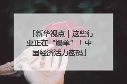 新华视点｜这些行业正在“爆单”！中国经济活力密码