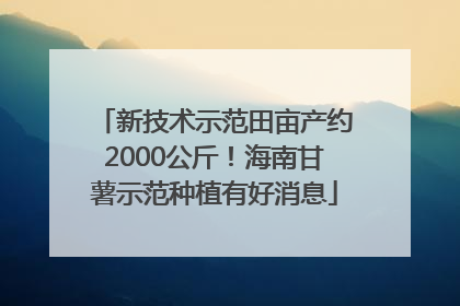 新技术示范田亩产约2000公斤！海南甘薯示范种植有好消息