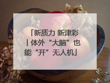 新质力 新津彩丨体外“大脑”也能“开”无人机