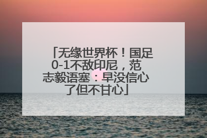 无缘世界杯！国足0-1不敌印尼，范志毅语塞：早没信心了但不甘心