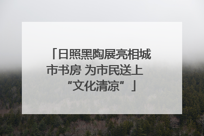 日照黑陶展亮相城市书房 为市民送上“文化清凉”