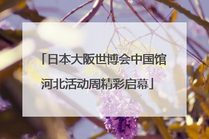 日本大阪世博会中国馆河北活动周精彩启幕