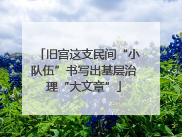 旧宫这支民间“小队伍”书写出基层治理“大文章”