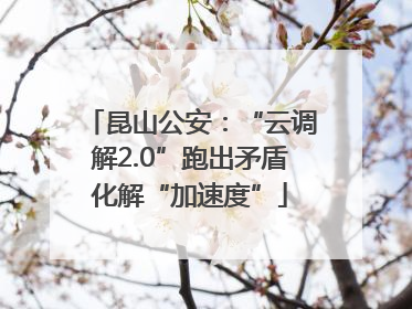 昆山公安：“云调解2.0”跑出矛盾化解“加速度”