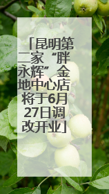昆明第二家“胖永辉”金地中心店将于6月27日调改开业