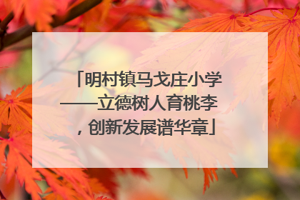 明村镇马戈庄小学——立德树人育桃李，创新发展谱华章