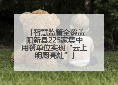 智慧监管全覆盖 阳新县225家集中用餐单位实现“云上明厨亮灶”