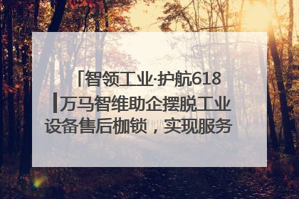 智领工业·护航618┃万马智维助企摆脱工业设备售后枷锁，实现服务与效能价值共振！