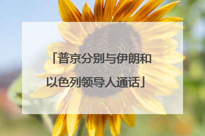 普京分别与伊朗和以色列领导人通话