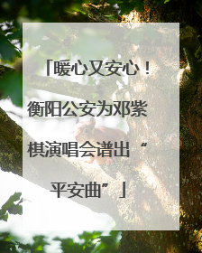 暖心又安心！衡阳公安为邓紫棋演唱会谱出“平安曲”