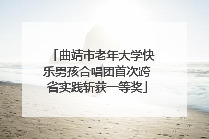 曲靖市老年大学快乐男孩合唱团首次跨省实践斩获一等奖
