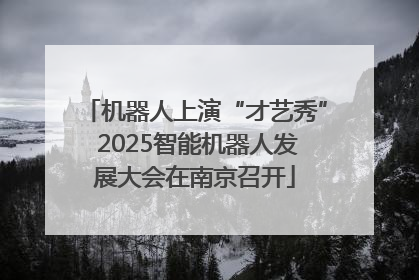 机器人上演“才艺秀” 2025智能机器人发展大会在南京召开