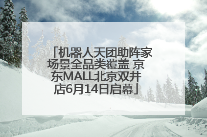 机器人天团助阵家场景全品类覆盖 京东MALL北京双井店6月14日启幕