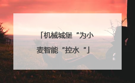 机械城堡“为小麦智能“控水“