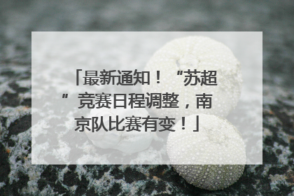 最新通知！“苏超”竞赛日程调整，南京队比赛有变！