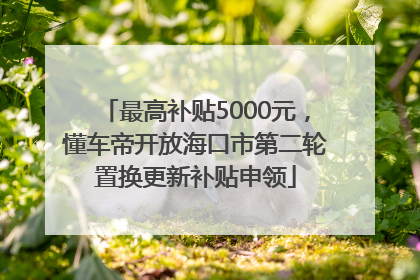 最高补贴5000元，懂车帝开放海口市第二轮置换更新补贴申领