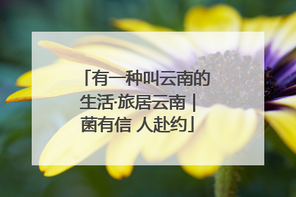 有一种叫云南的生活·旅居云南｜菌有信 人赴约