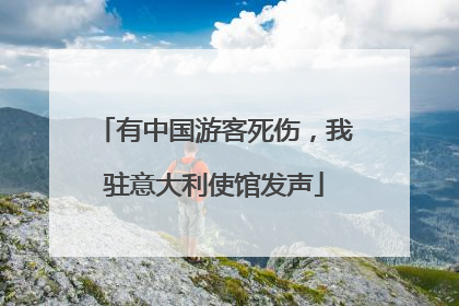 有中国游客死伤，我驻意大利使馆发声