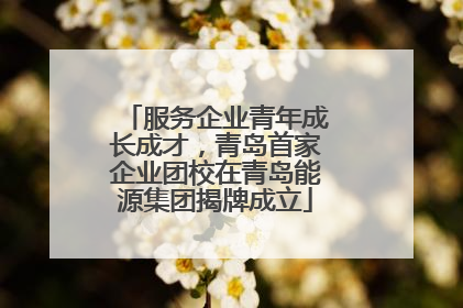服务企业青年成长成才，青岛首家企业团校在青岛能源集团揭牌成立