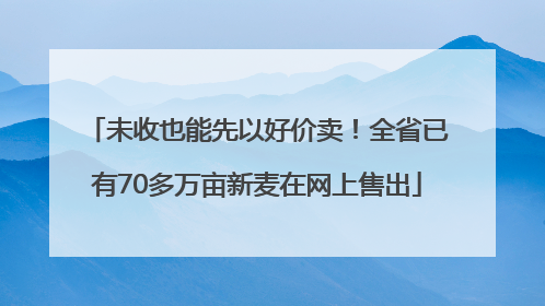 未收也能先以好价卖！全省已有70多万亩新麦在网上售出