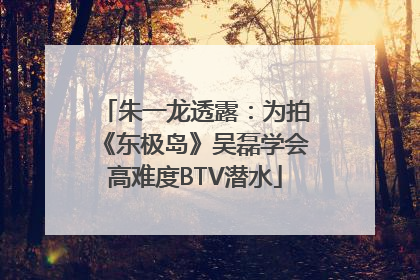 朱一龙透露：为拍《东极岛》吴磊学会高难度BTV潜水