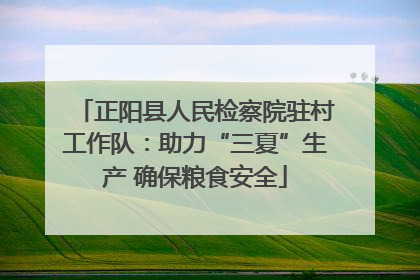 正阳县人民检察院驻村工作队：助力“三夏”生产 确保粮食安全