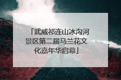 武威祁连山冰沟河景区第二届马兰花文化嘉年华启幕