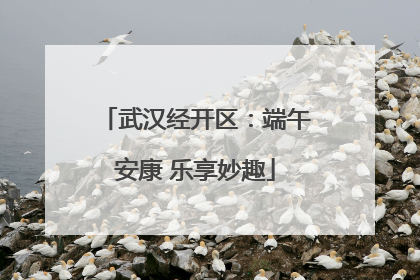 武汉经开区：端午安康 乐享妙趣