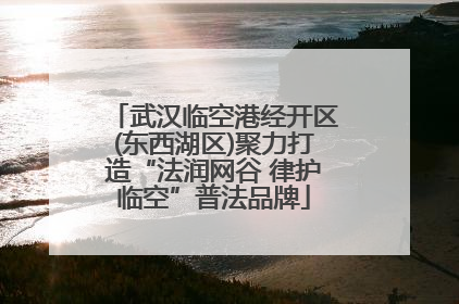武汉临空港经开区(东西湖区)聚力打造“法润网谷 律护临空”普法品牌