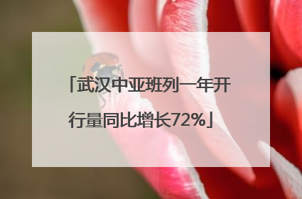 武汉中亚班列一年开行量同比增长72%
