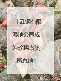 武钢有限湿地公园成为珍稀鸟类栖息地