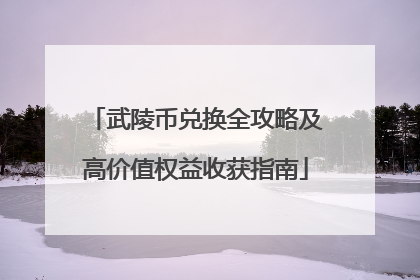 武陵币兑换全攻略及高价值权益收获指南