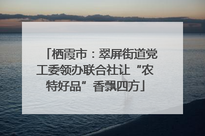 栖霞市：翠屏街道党工委领办联合社让“农特好品”香飘四方