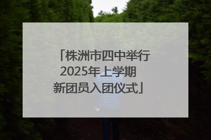 株洲市四中举行2025年上学期新团员入团仪式