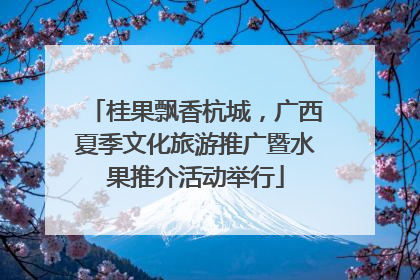 桂果飘香杭城，广西夏季文化旅游推广暨水果推介活动举行
