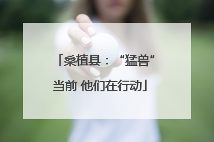 桑植县：“猛兽”当前 他们在行动