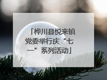 桦川县悦来镇党委举行庆“七一”系列活动