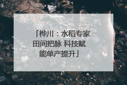 桦川：水稻专家田间把脉 科技赋能单产提升