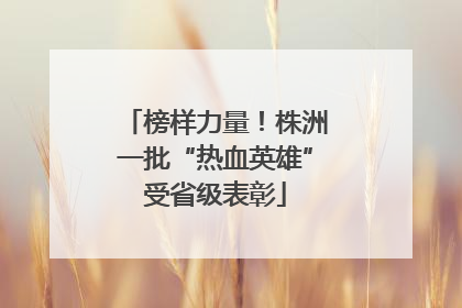 榜样力量！株洲一批“热血英雄”受省级表彰
